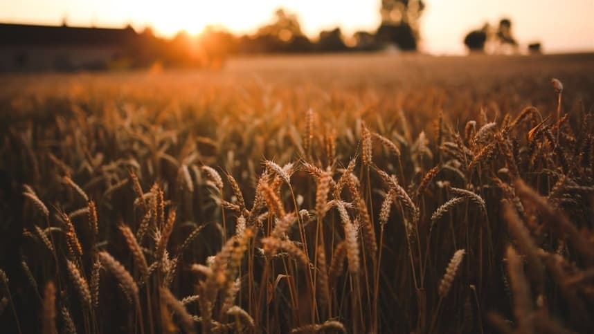Paraná recebe propostas para subvenção do seguro rural de inverno
