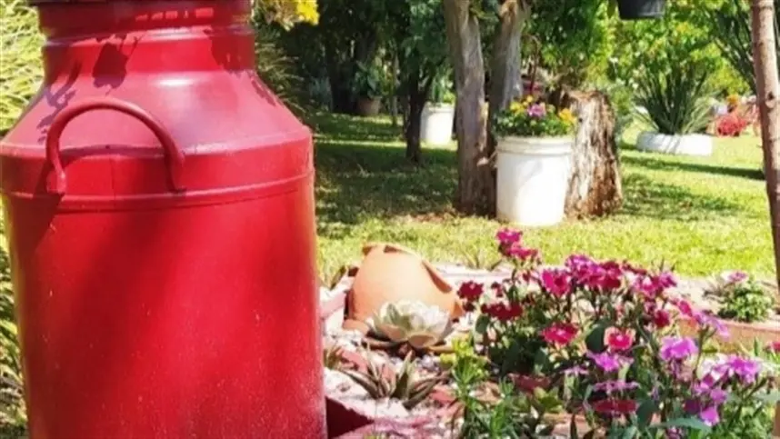 RS: Panambi abre inscrições para Concurso de Jardins