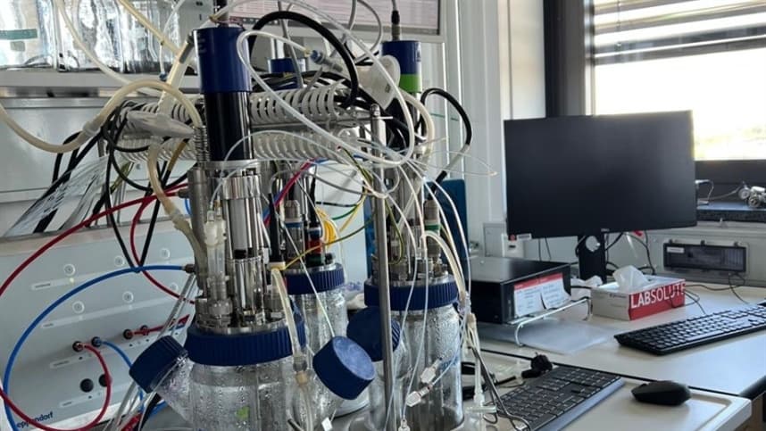 Avanço da biotecnologia pode impulsionar produtos de base renovável