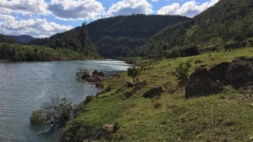 RS: projeto vai revitalizar mata ciliar em rios do Vale do Taquari
