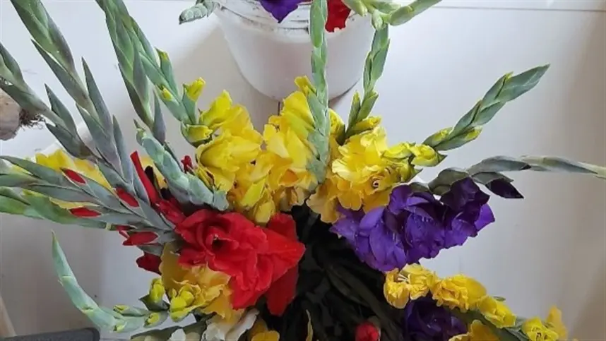 RS: resultados do projeto Projeto Flores para Todos são apresentados