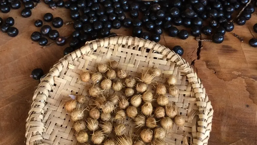 Caroços de Açaí e Algodão Orgânico são utilizados para produção de Bolsa Térmica Natural