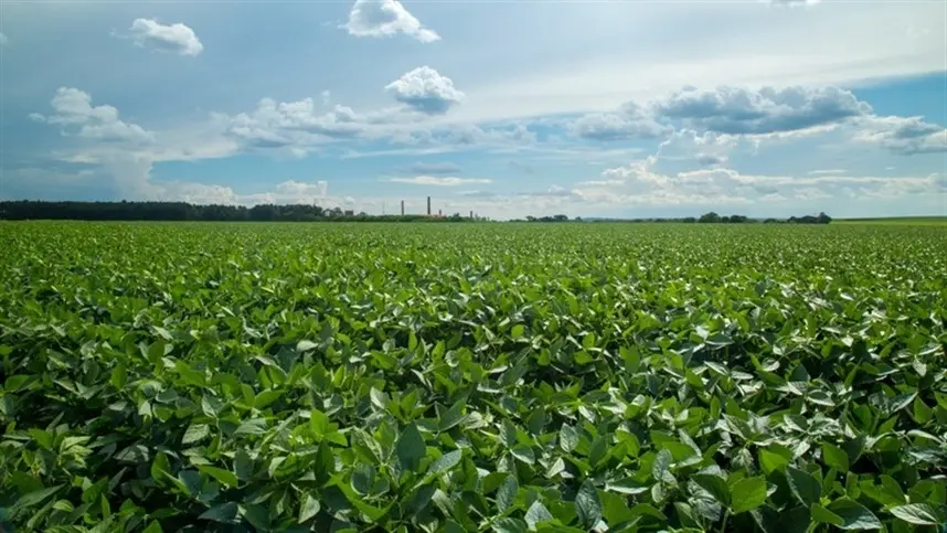 Agronegócio de Minas Gerais registra crescimento de 10,6%
