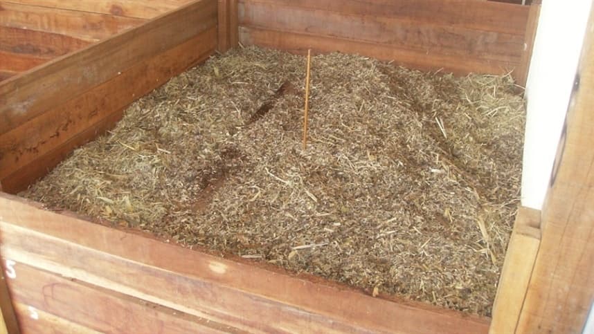Técnica transforma carcaças de caprinos e ovinos em adubo orgânico