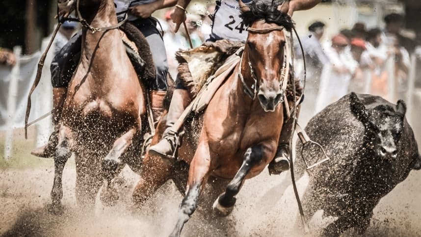 Argentina recebe primeira classificatória ao Freio de Ouro 2021