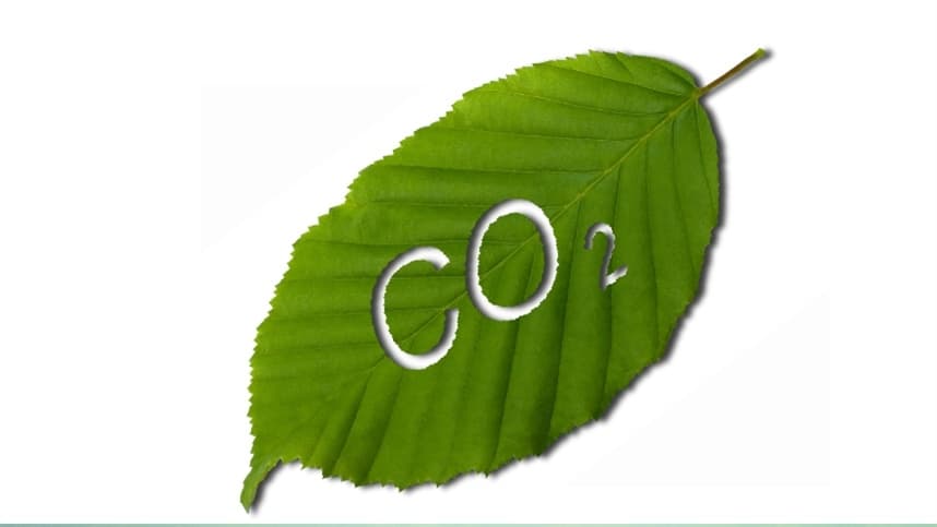 Codesul debate criação de grupo de trabalho para Agricultura de Baixo Carbono