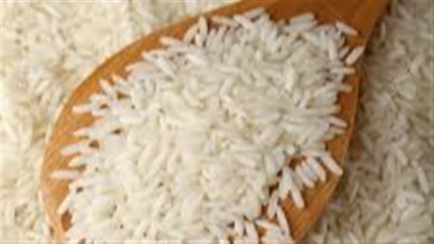 Estudo aponta dose ideal de fertilizantes nitrogênio no arroz