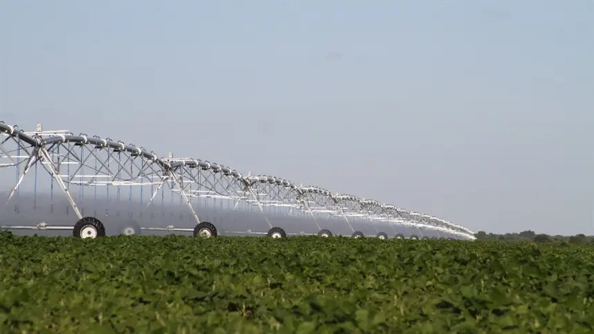 Maior pivô central do mundo irriga sozinho 463 hectares no Oeste da Bahia