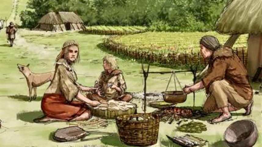 Nossos Alimentos Perdidos