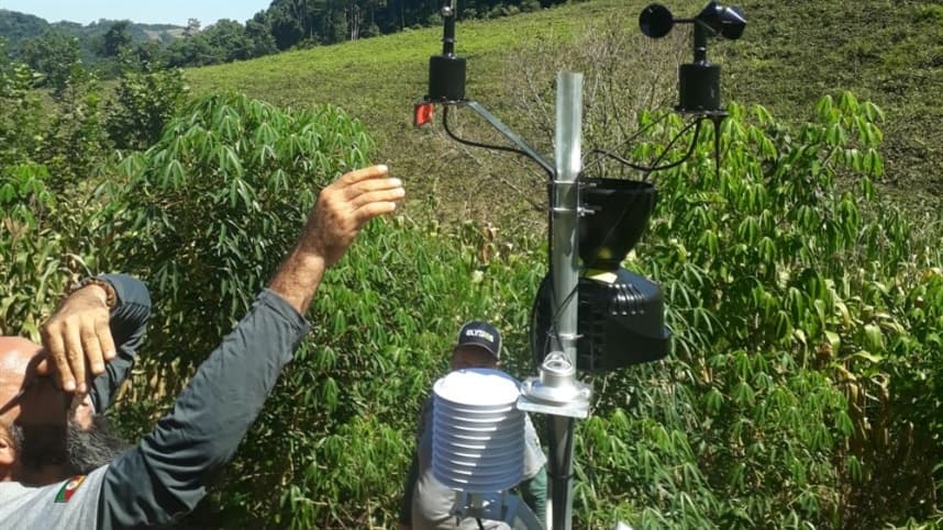Estações meteorológicas beneficiam produtores de uva na Serra gaúcha