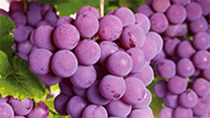 Produtos atendem uva e maça