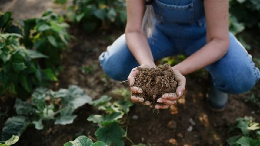 Brasil sedia pela primeira vez um dos principais fóruns globais sobre agricultura regenerativa