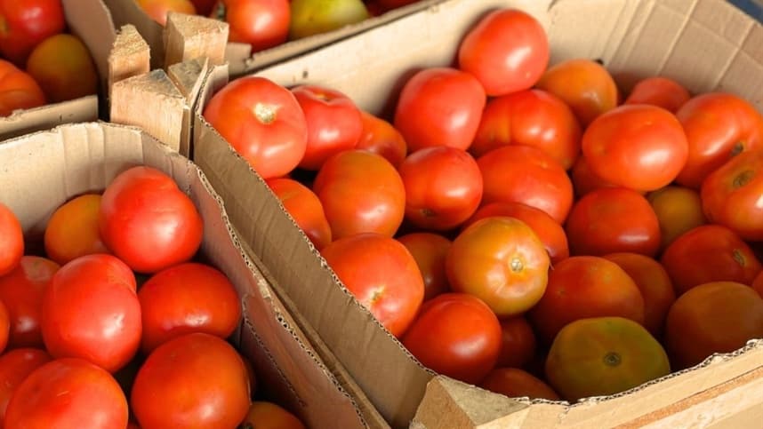 Tomate e alface registram queda nos preços
