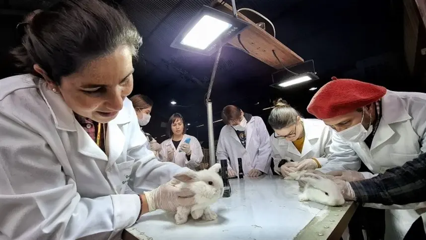 Vigilância Sanitária Animal reforça segurança e bem-estar dos pequenos animais que chegam à Expointer