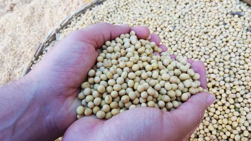 Ourofino Agrociência vai à Show Safra BR163 