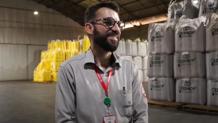 Como garantir qualidade no trigo do plantio à comercialização?