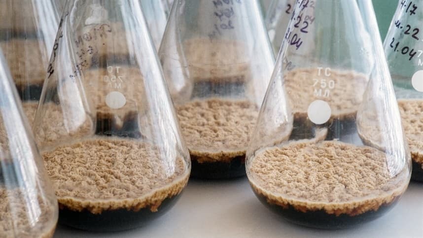 Tecnoagro 2022 trouxe maior novidade do agro dos últimos anos