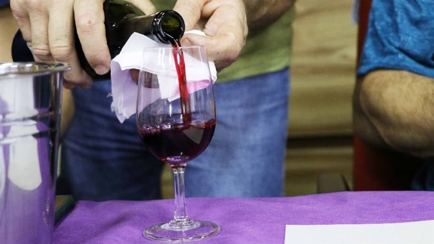 SC: avaliação de vinhos artesanais destaca evolução da região Oeste