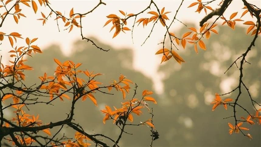 Outono terá chuvas intensas e baixas temperaturas