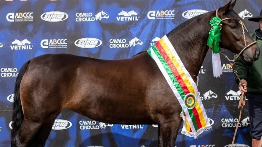 RS: Lages acrescenta oito exemplares para a Final Morfológica