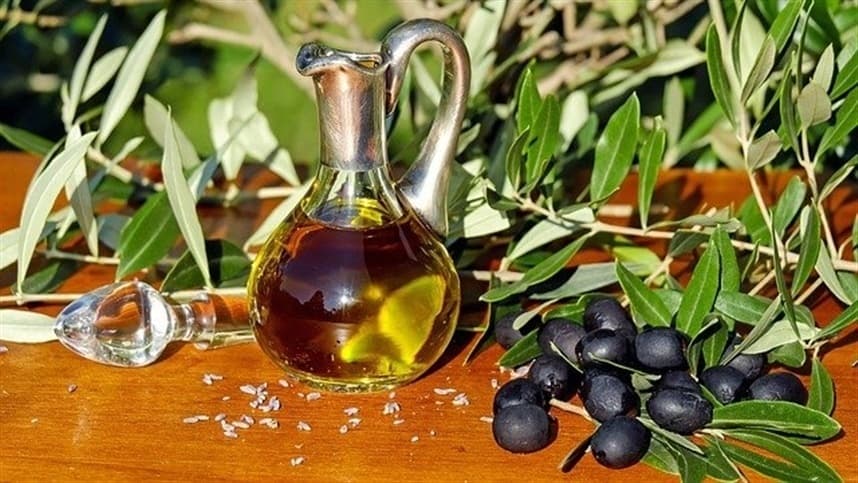 Tecnologia impulsiona identificação e controle do declínio rápido da oliveira