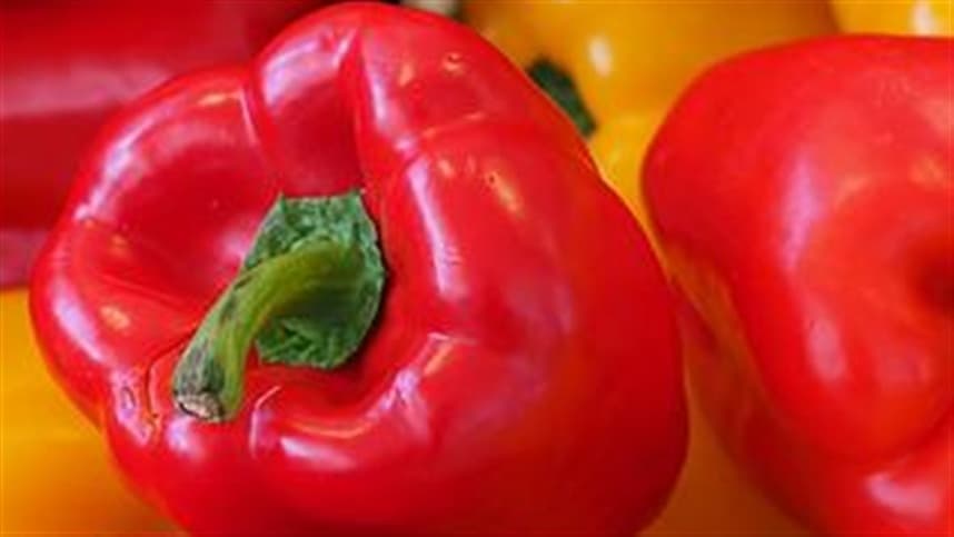 Pós-colheita influencia lucro do produtor de pimentão