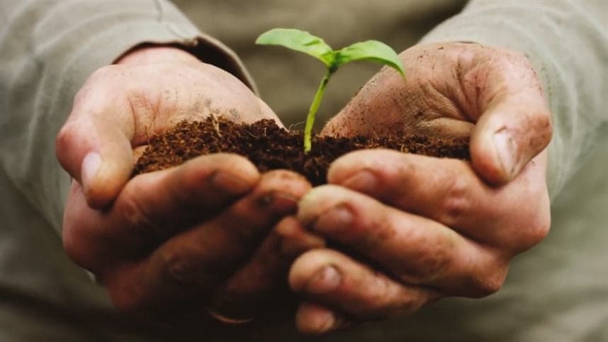 Limagrain lança campanha digital "Tocando em frente com o agro"