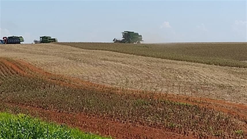 Colheita da soja alcança 3% das lavouras do RS