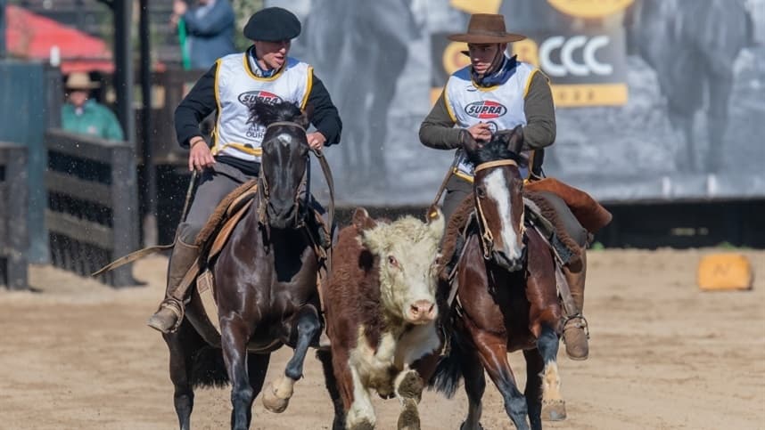 Paraná sedia Classificatória ao Freio de Ouro das regiões 5, 7 e 8