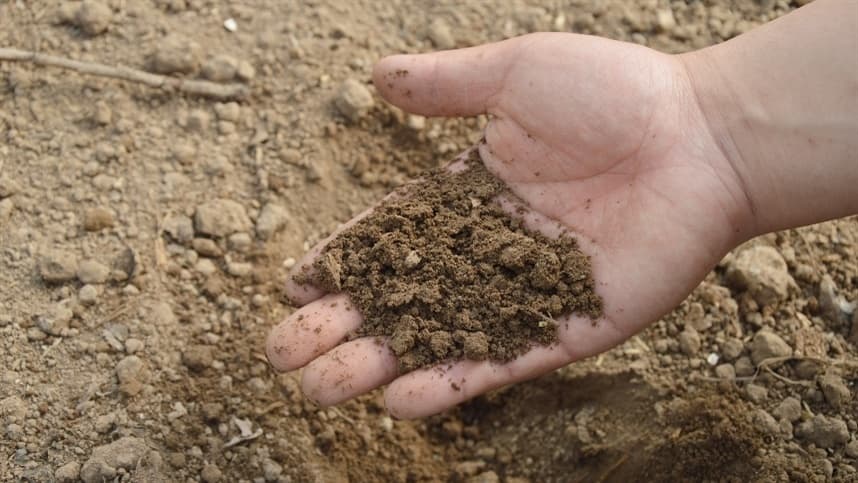 Como utilizar de forma eficiente os fertilizantes em solos argilosos