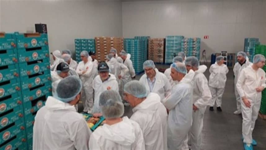 Produtores de tomate visitam plantações de outros países