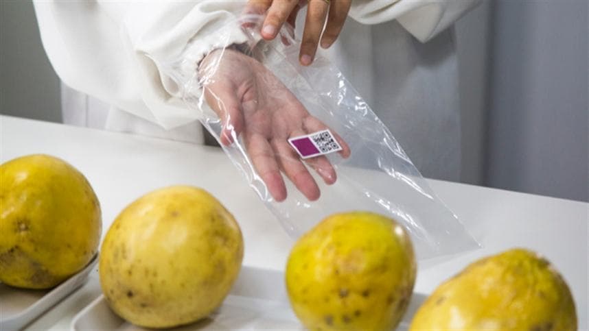 Nanossensor rastreia frutas e monitora a sua qualidade