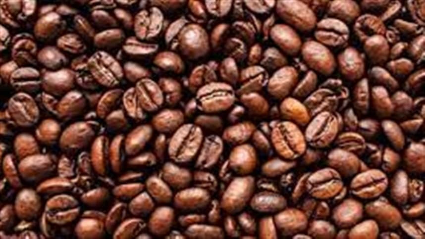 Embrapa Café inaugura nova de gestão para fortalecer a cadeia de valor do café