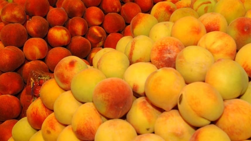 Espanha: frutas com caroço mantém um bom nível de comercialização