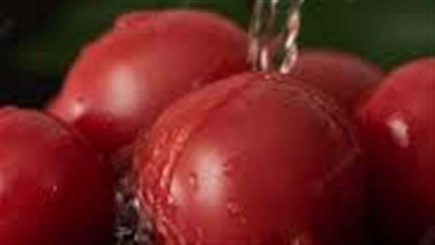    É possível produzir água potável a partir de tomates?   