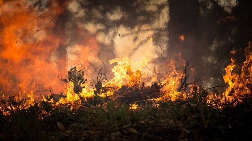 Previsão de risco de incêndio é lançada em Santa Catarina
