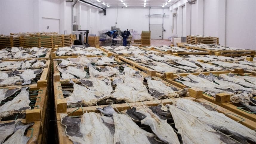 Noruega tem valor recorde para a exportação de pescados e frutos do mar
