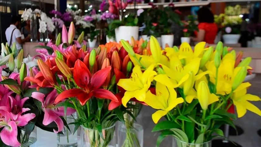 Ibraflor quer cumprimento da legalidade da venda de flores