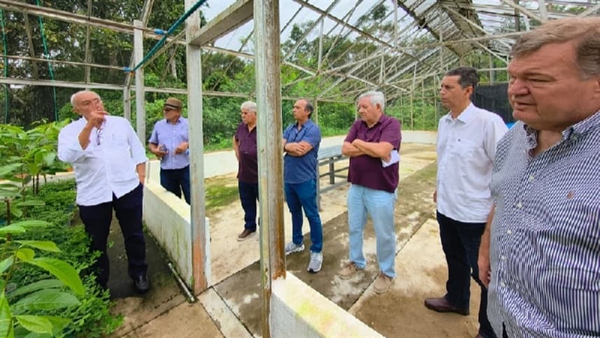 Embrapa apresenta pesquisas com pau-rosa  a produtores e empresários do Amazonas