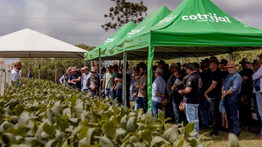 Dia de Campo Cotrijal 2026 reforça estratégias para produção eficiente e rentável