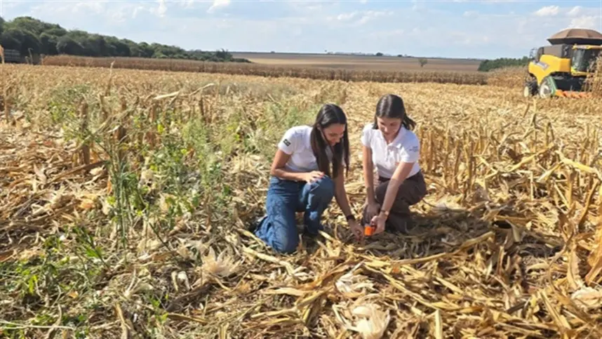 Com práticas de agricultura regenerativa, fazenda no interior de SP registra pegadas de carbono de soja e milho abaixo da média nacional