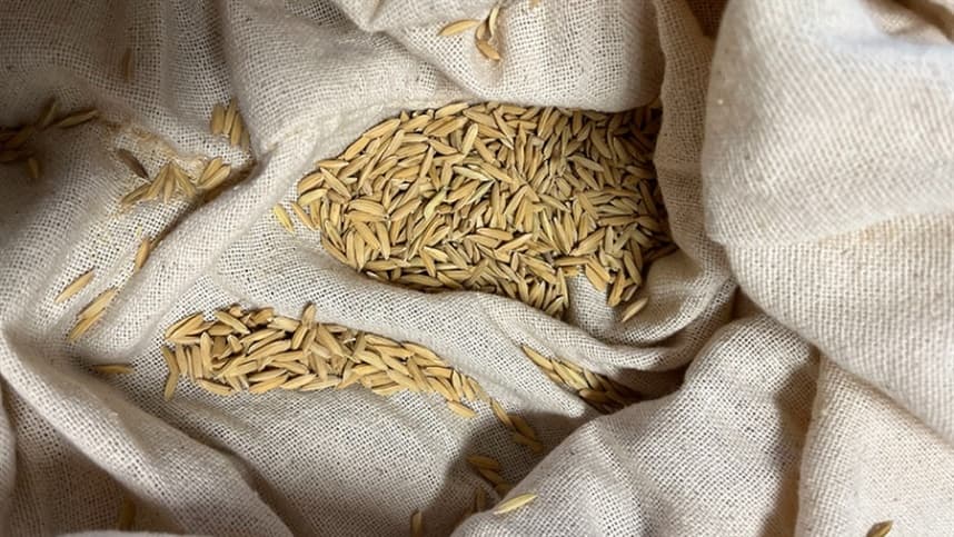 Arroz Anã: pesquisa identifica assinatura química do grão