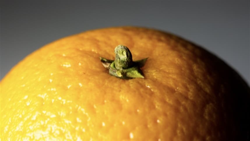 Importância das culturas citricas