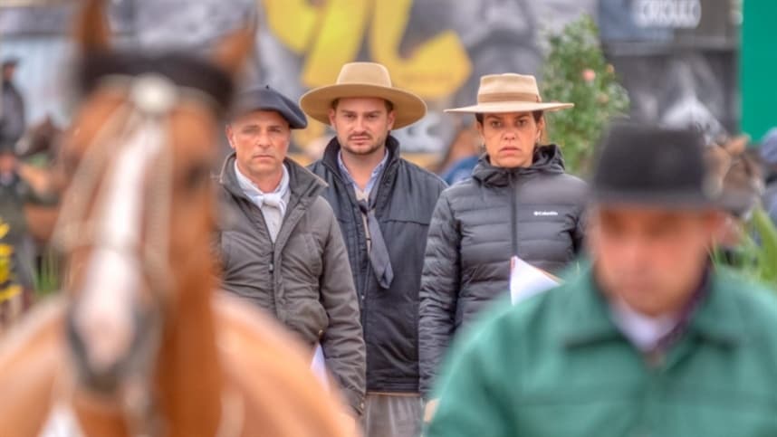 RS: prévia define lista completa para Morfologia do Cavalo Crioulo na Expointer