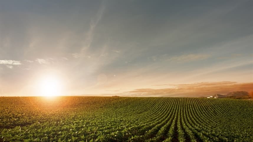 Europa enfrenta onda de calor e seca nas lavouras