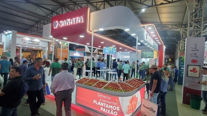  Tomate resistente para períodos chuvosos na Hortitec