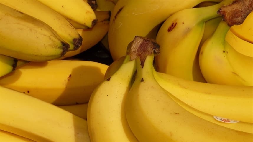 BANANA: Frio compromete qualidade e oferta de nanica