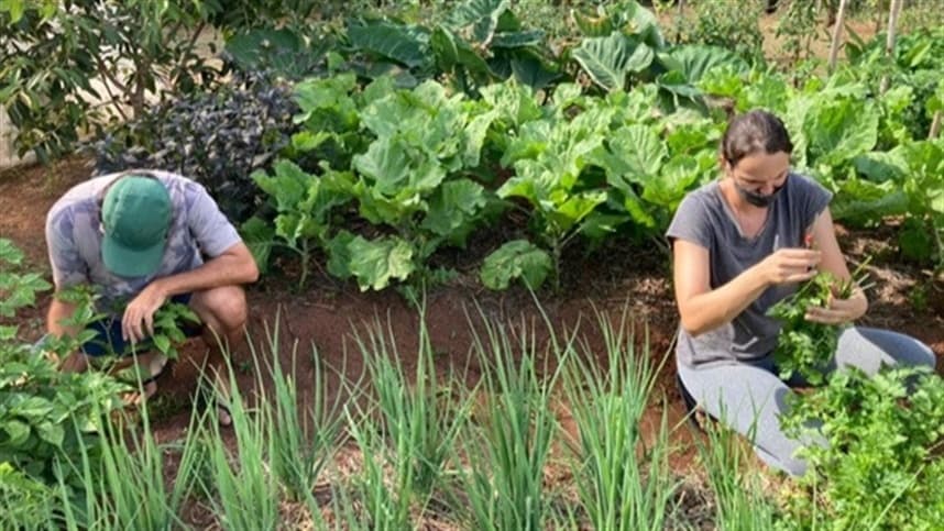 Produtores de Brumadinho aumentam a produção e comercialização de alimentos