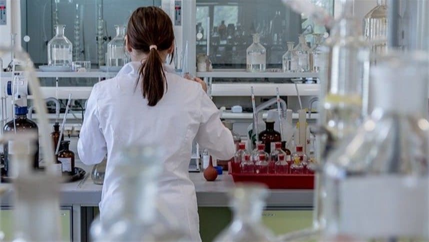 Genes de fixação de nitrogênio ajudam a cultivar mais