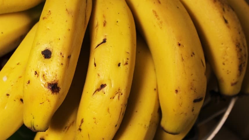 Pós-colheita inadequada pode gerar perdas de 60% na banana
